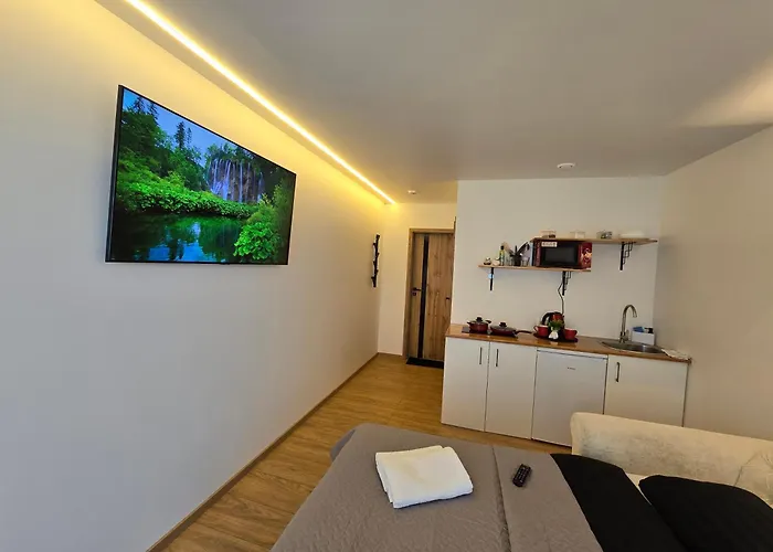 T1 Bamboo Apartamento *