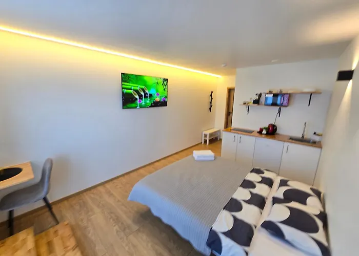 Apartamento T1 Bamboo Klaipėda